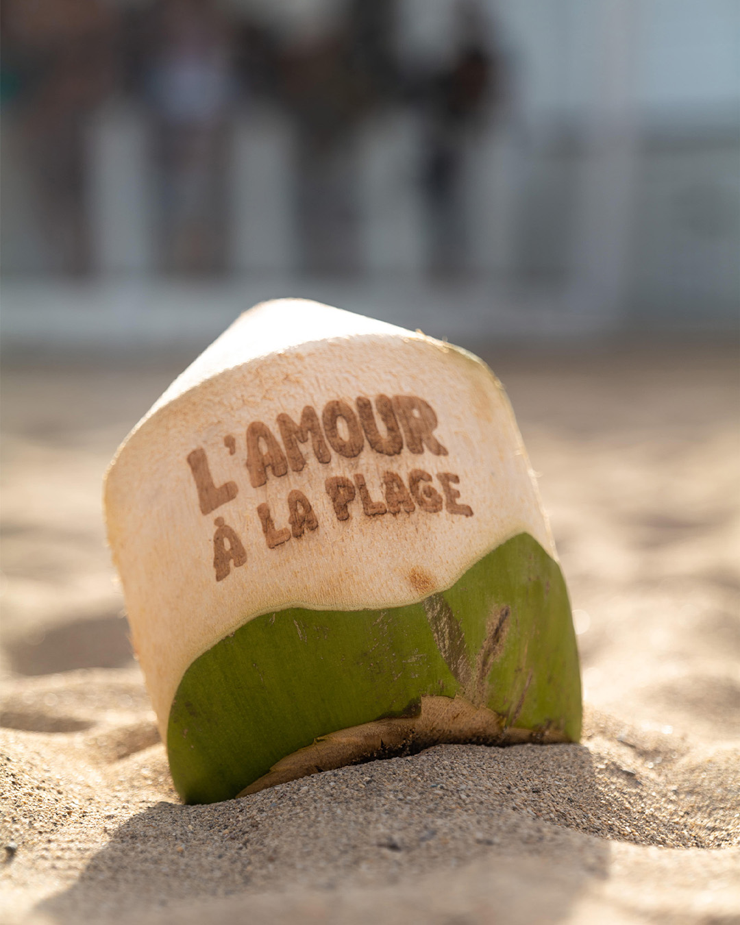 Festival L&rsquo;amour à la plage